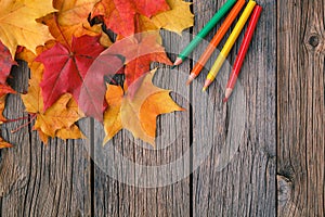 Autumn creative art painting backgrounf with pencils and maple l photo