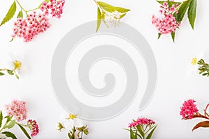 Autumn creative composition purple flowers on gray background. Fall, autumn background. Flat lay, top view