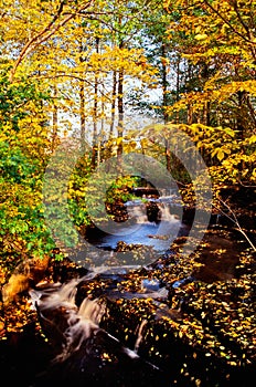 Autumn creek