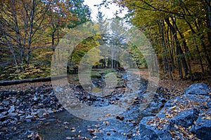 Autumn Creek in Whetstone Gulf State Park