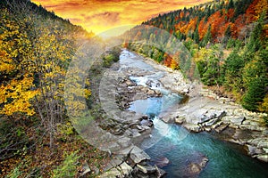 Autumn creek woods with colorfull trees foliage and rocks in for