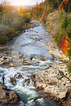 Autumn creek woods with colorfull trees foliage and rocks in for