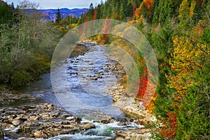 Autumn creek woods with colorfull trees foliage and rocks in for