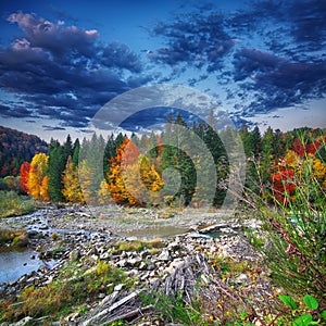 Autumn creek woods with colorfull trees foliage and rocks in for