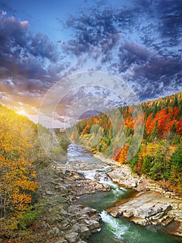 Autumn creek woods with colorfull trees foliage and rocks in for