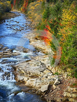 Autumn creek woods and rocks in forest mountain.