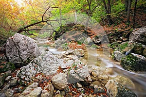 Autumn creek woods with yellow trees foliage and rocks in forest