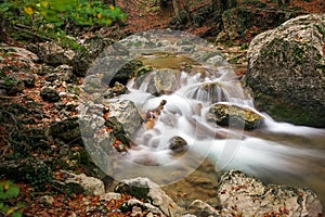 Autumn creek woods with yellow trees foliage and rocks in forest