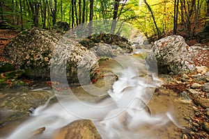 Autumn creek woods with yellow trees foliage and rocks in forest