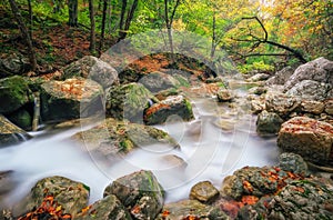 Autumn creek woods with yellow trees foliage and rocks in forest