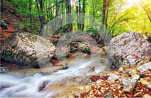 Autumn creek woods with yellow trees foliage and rocks in forest