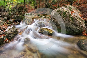 Autumn creek woods with yellow trees foliage and rocks