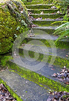 Autumn Curved Concrete Steps