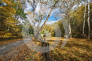 Autumn at Cuttalossa Farm, in New Hope, Pennsylvania