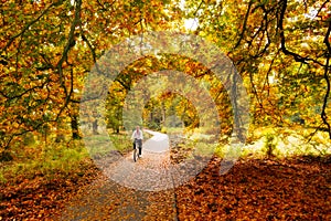 Autumn cycling