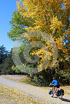 Autumn Cycling in New Zealand