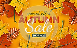 Autumn 3d sale banner, paper colorful tree leaves on yellow background. Autumnal design for fall season sale banner