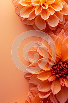 Autumn Dahlia Flower Design