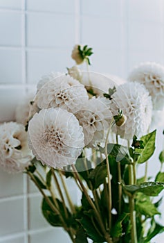 Autumn dahlias flowers bouquet against the white tile wall