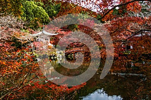 Autumn at Daigoji temple