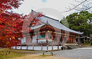 Autumn at Daigoji temple