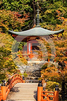 Autumn at daigoji temple with colorful