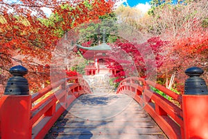 Autumn at Daigoji temple in Japan