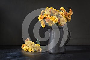 Autumn dark still life. Fall with yellow chrysanthemum flowers in clayware vase on black.