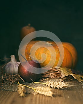 Autumn dark still life with pumpkins, red apple, garlic, leaf, s