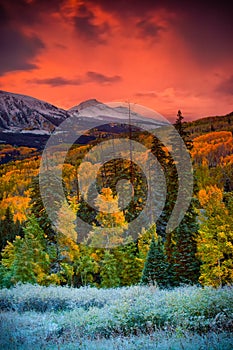 Autumn Dawn photo