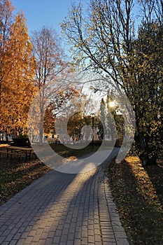 Autumn day in the city park in LuleÃ¥