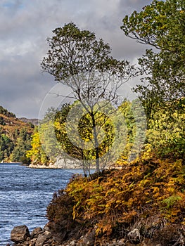 Autumn day at Loch Katrine