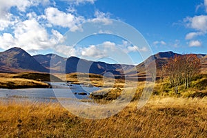 Autumn Day Near Loch Ba