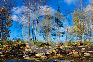 The shore of the lake Smartie. The reflection in the water photo