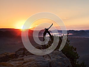 Autumn daybreak in sandstone rocks,broken pine tree. Fall valley of Saxony