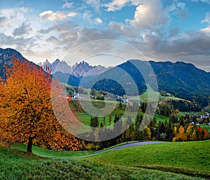 Autumn daybreak Santa Magdalena famous Italy Dolomites village view in front of the Geisler or Odle Dolomites mountain rocks.