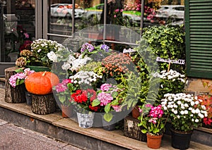 Autumn decor, composition with pumpkins and flowers