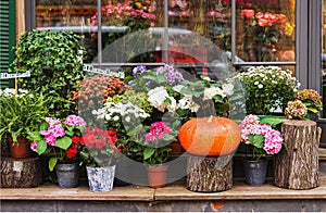 autumn decor, composition with pumpkins and flowers