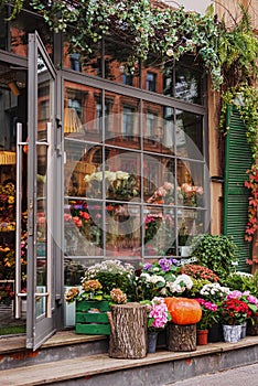 autumn decor, composition with pumpkins and flowers