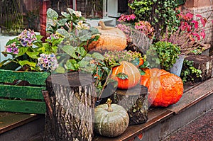 autumn decor, composition with pumpkins and flowers