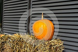 autumn decor, composition with pumpkins and seasonal flowers