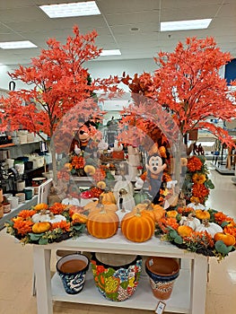 Autumn Decor Display in Retail Store with Pumpkins and Harvest Decorations