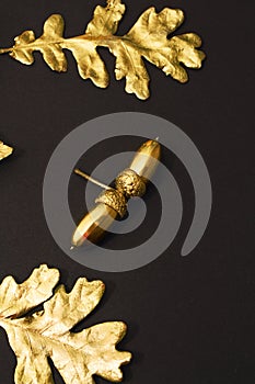 Autumn decor of golden oak and acorn leaves on a black background