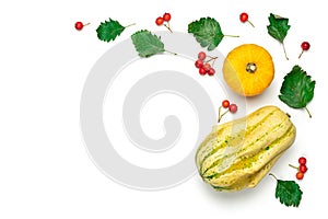 Autumn decor. Natural food, harvest with orange pumpkin, fall dried leaves, rowan berries isolated on white background