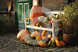 Autumn decoration
