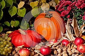 Autumn decoration