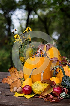 Autumn decoration