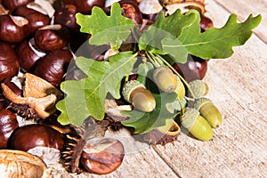 Autumn decoration - chestnuts and oaks