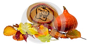 Autumn decoration with colorful foliage and Hokkaido pumpkin and a wooden plate with German inscription `Autumn`