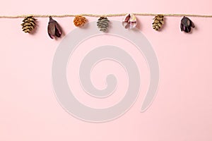 Autumn decoration. Dry pine cone, flower hanging on string on pink background